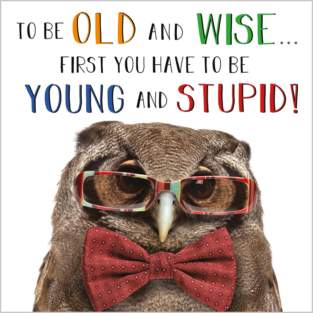 Wise Old Owl