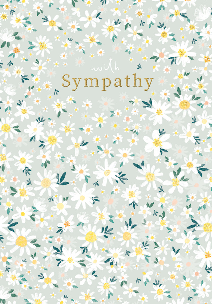 Sympathy - Daisies