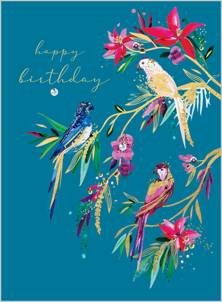 Tropical Birds