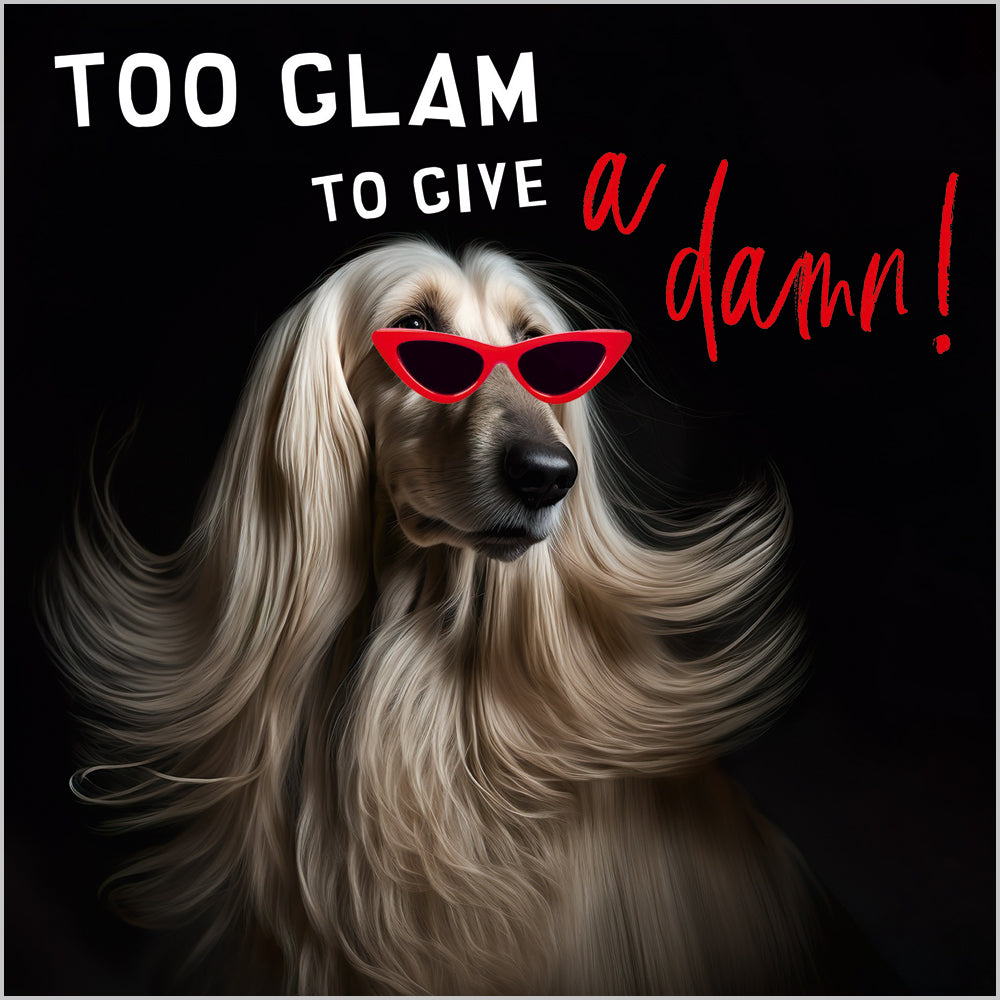 Too Glam to Give a Damn