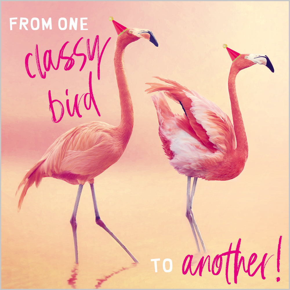Classy Bird