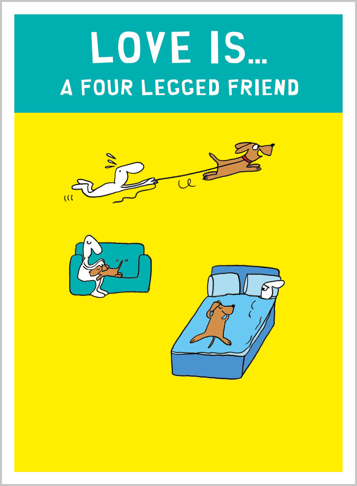Four legged friend