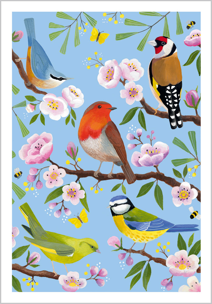 British GardenBirds