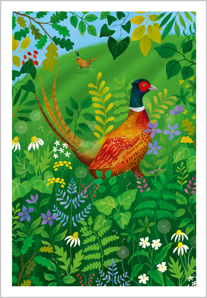 Hedgerow Pheasant