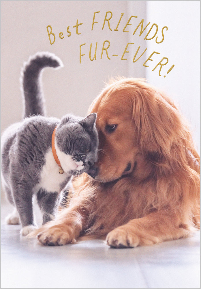 Friends fur-ever