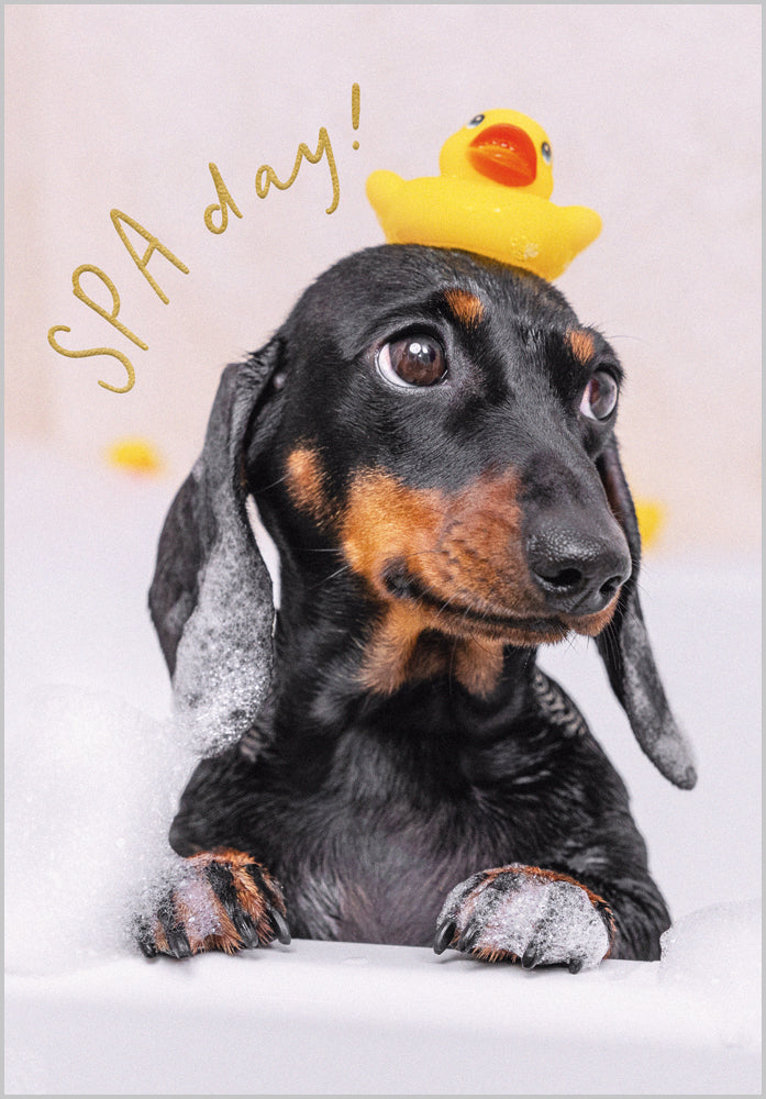 Spa Day
