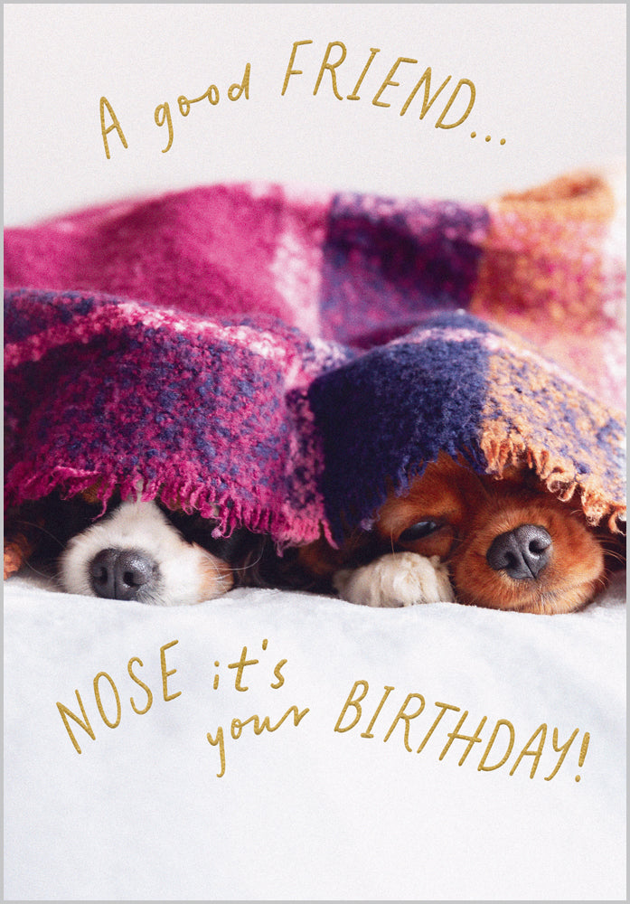 Nose it's yourbirthday