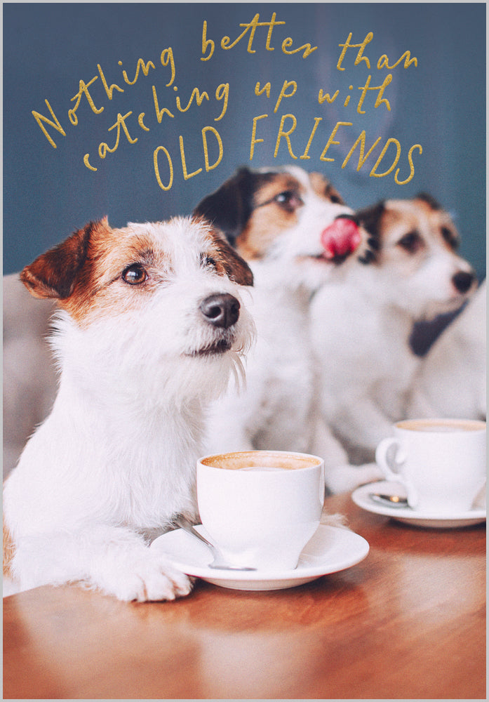 Catching up with old friends