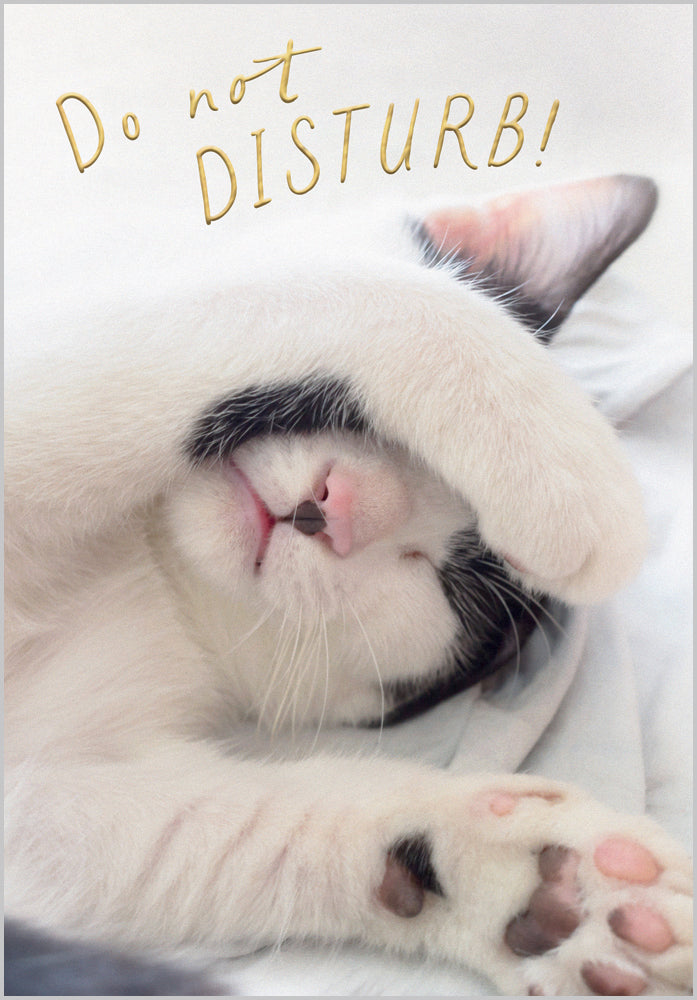 Do not disturb