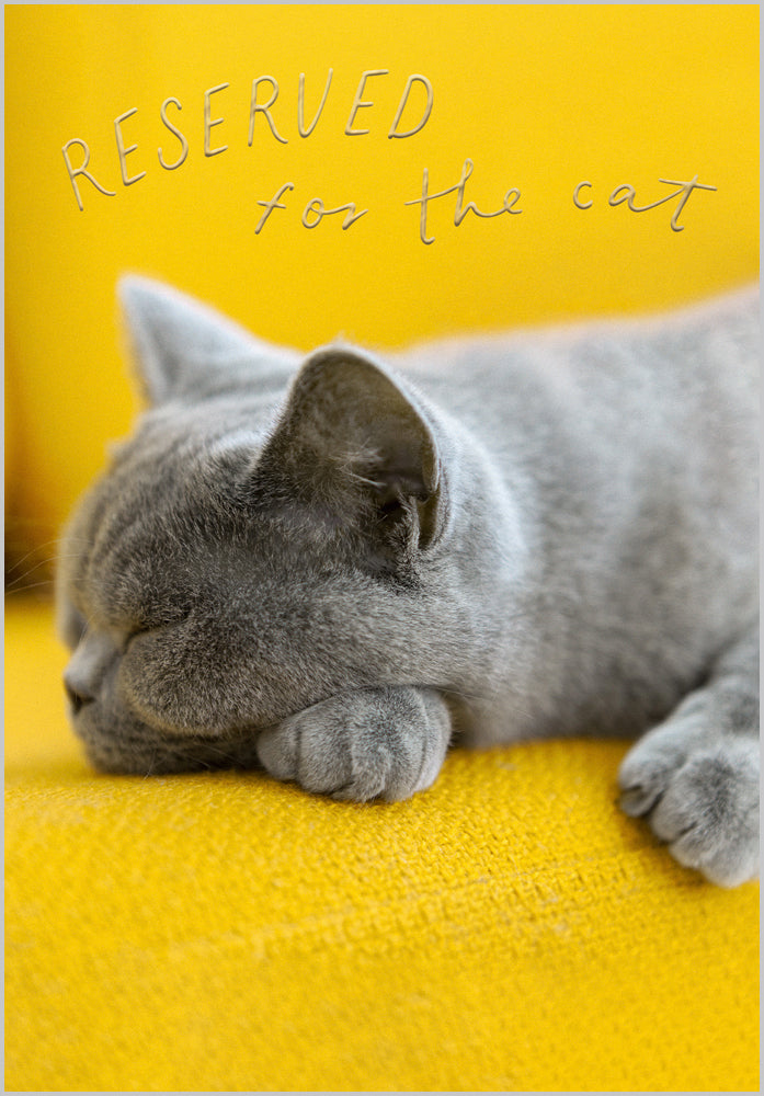 Reserved for the cat