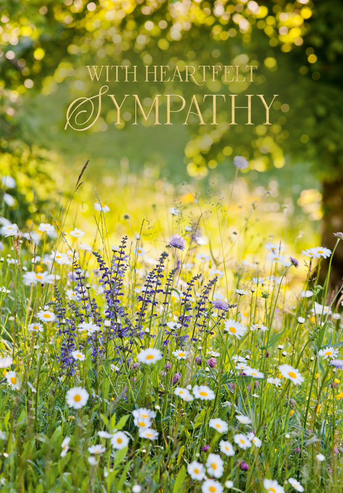 Sympathy Wild Flower Meadow
