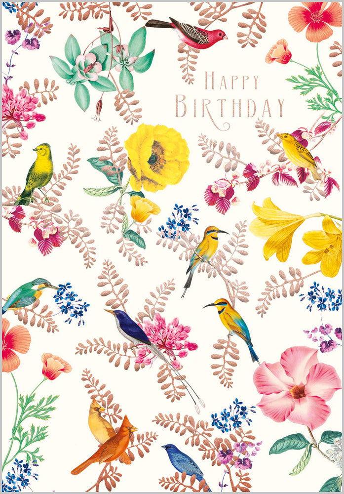 Exotic Birds