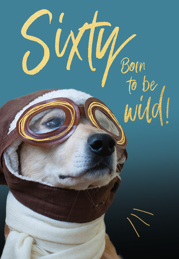 Sixty - Born to be wild