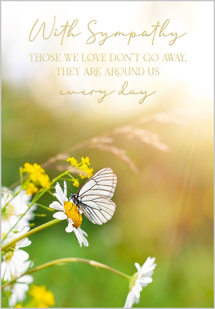 Sympathy - Meadow Butterfly