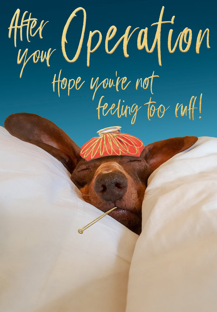 Get Well Operation - Recouperating Dog