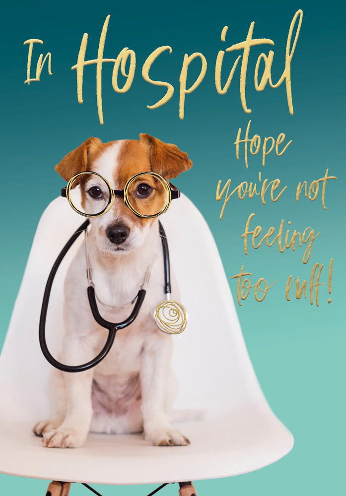 Get Well In Hospital - Dog and Stethoscope