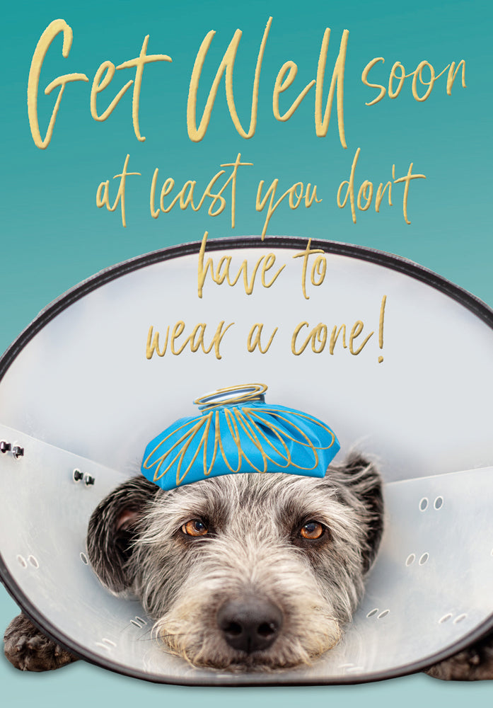 Get Well - Don't have to wear a cone!