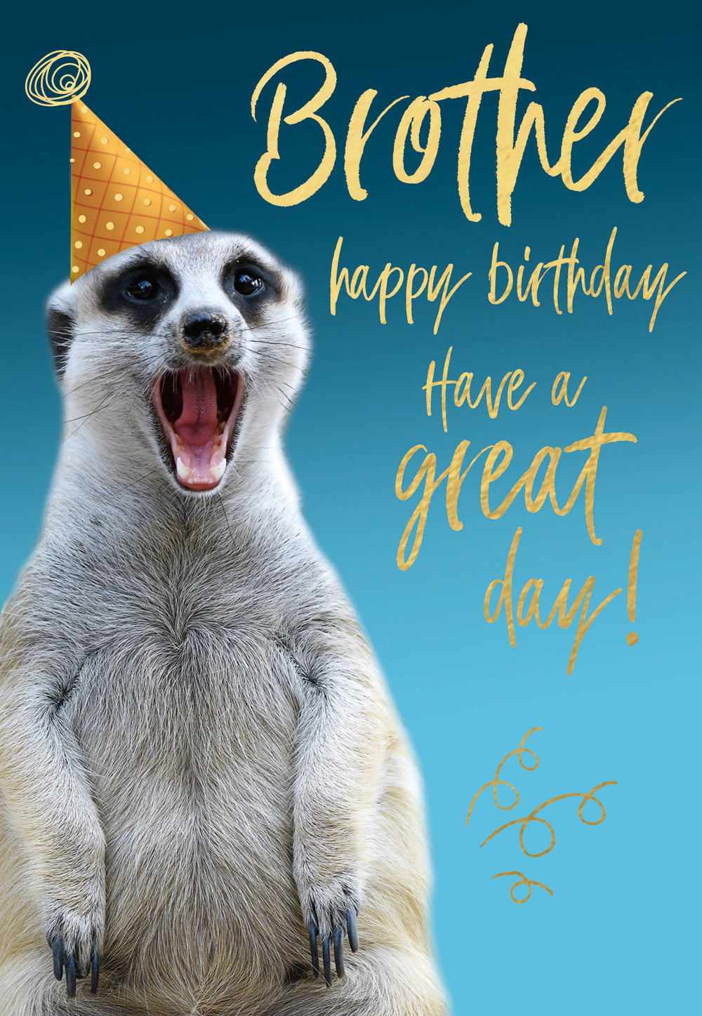 Brother - Party Meerkat
