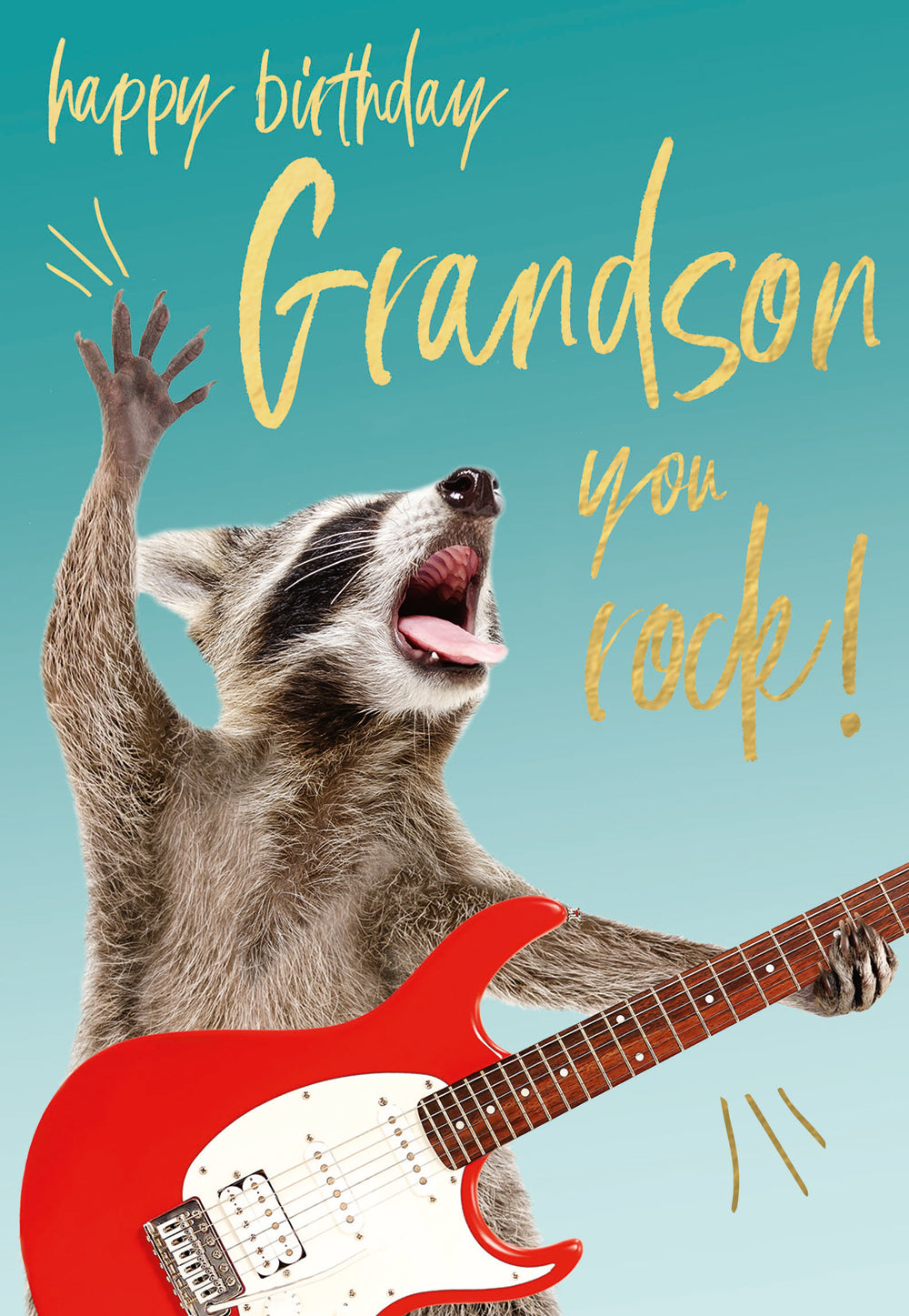 Grandson - YouRock Raccoon