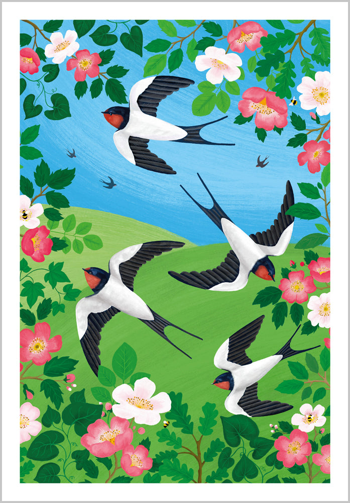 Swallows Flight