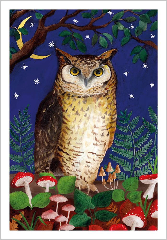 Woodland Owl