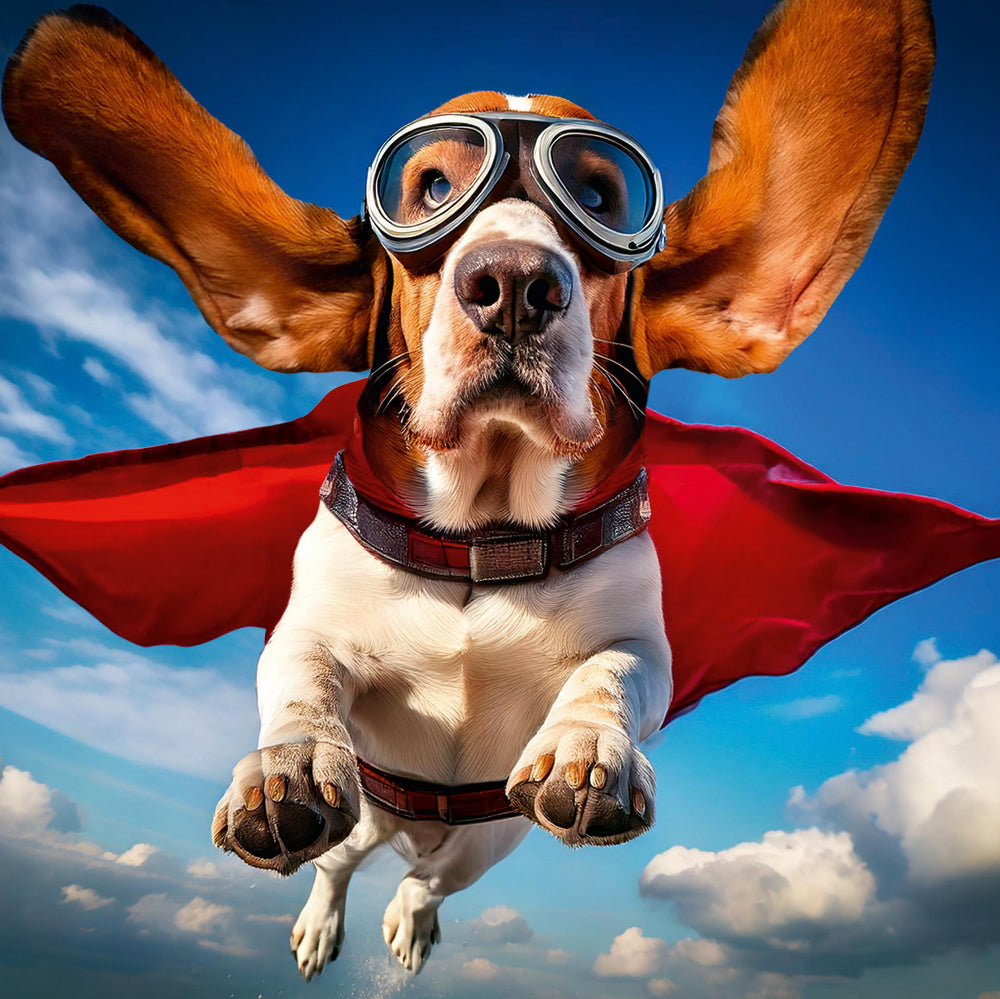 Super Hero Bassett Hound