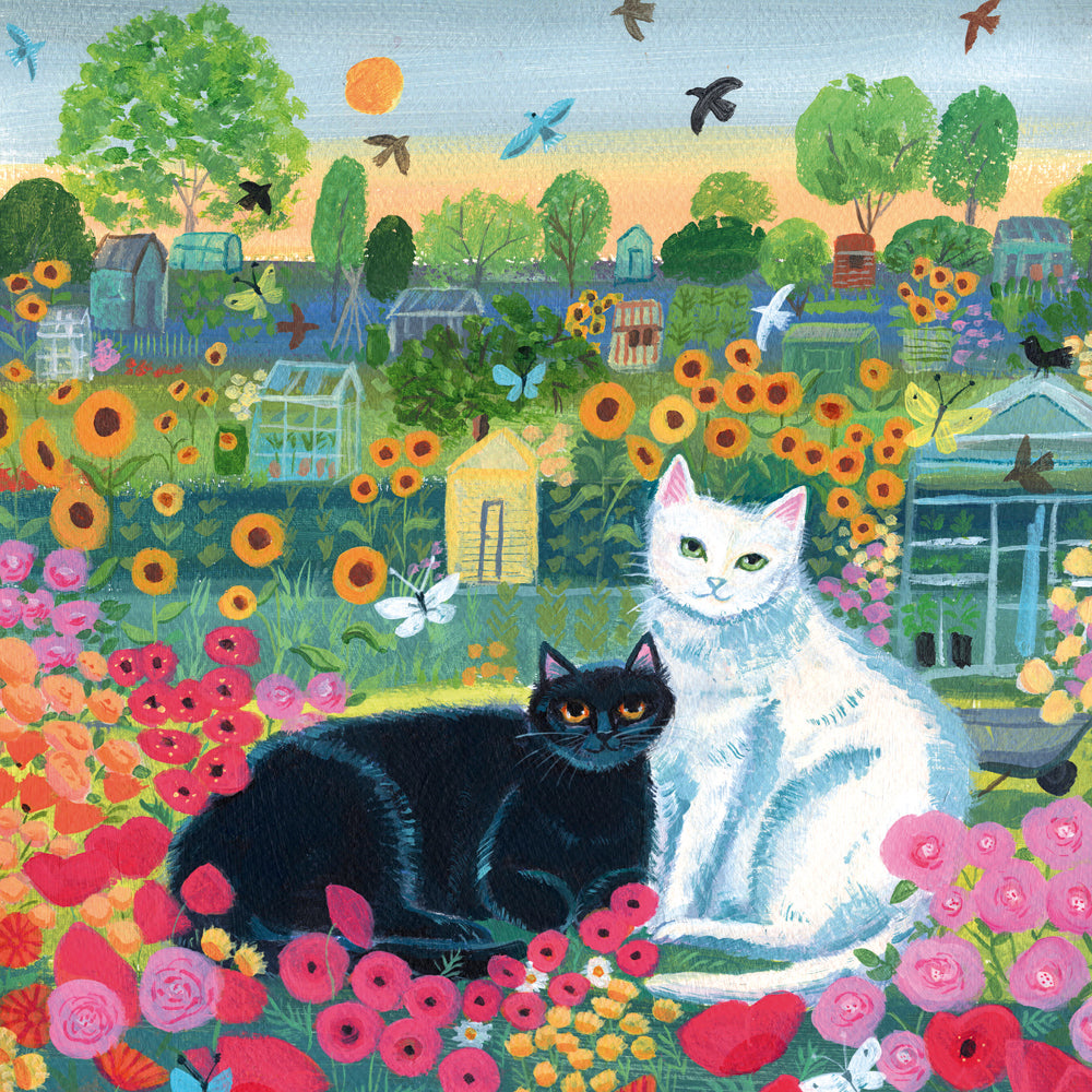 Allotment Cats