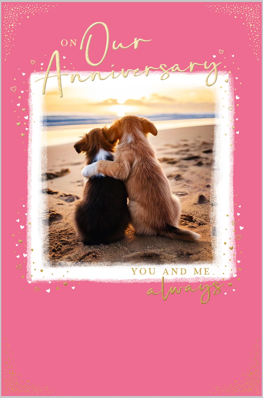 Our Anniversary Dogs Hugging at the Beach
