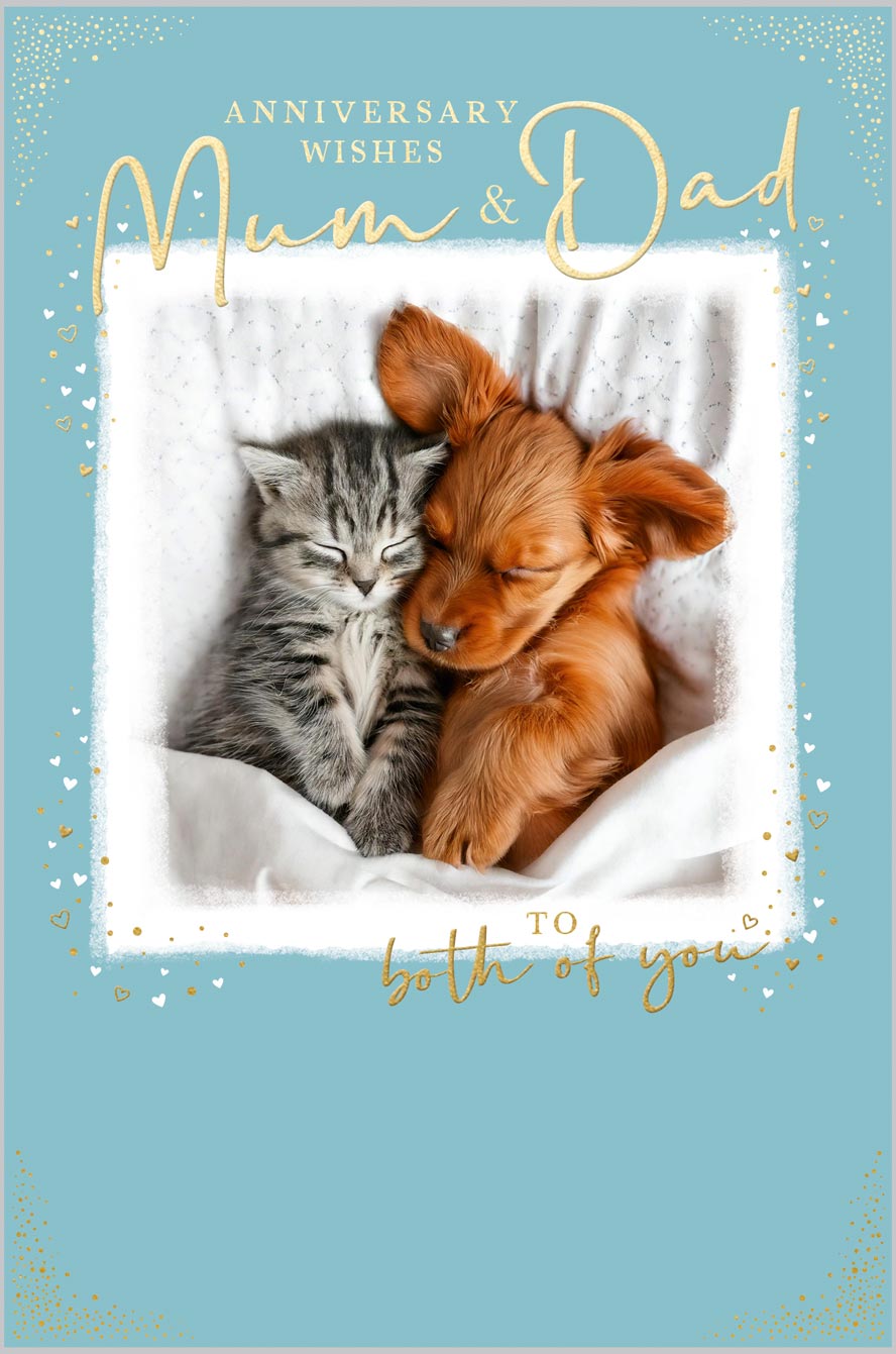 Mum & Dad Anniversary Kitten & Puppy