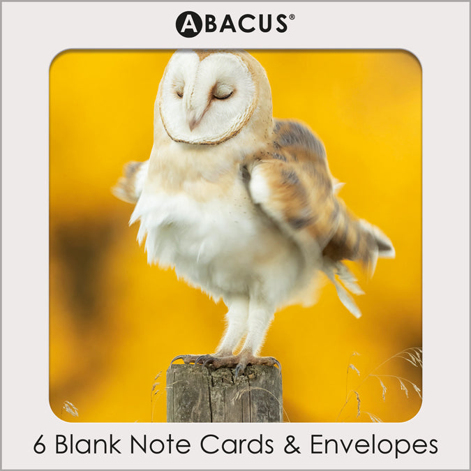 Barn Owl