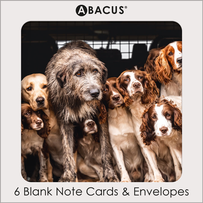 Irish Wolfhound Labrador and Cocker Spaniels