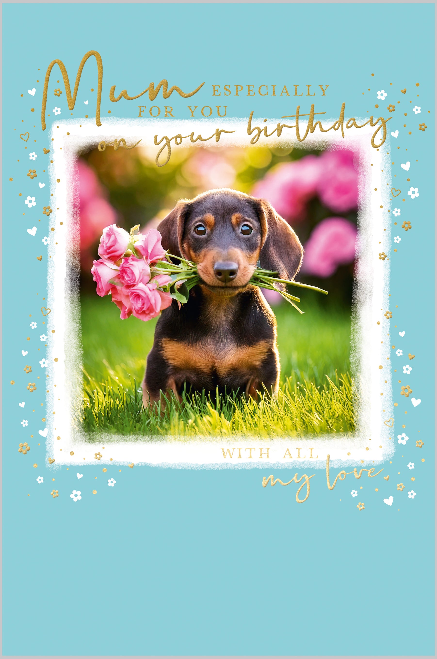 Mum Dachshund Puppy and Flowers