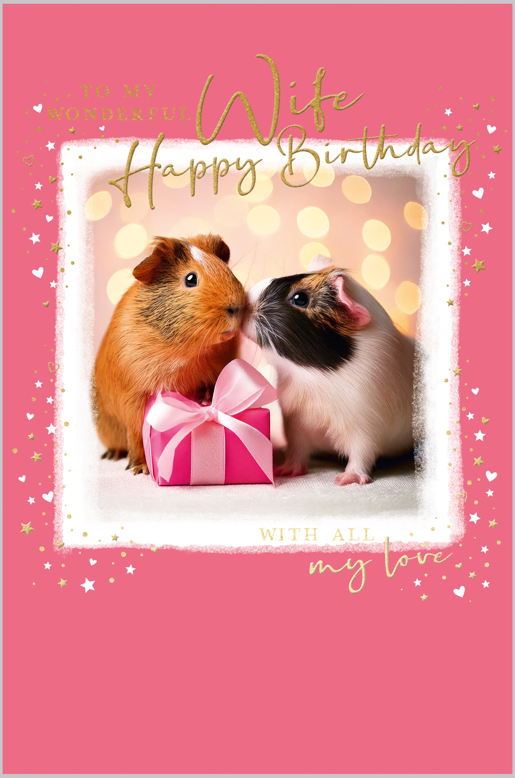 Wife Guinea Pig Couple