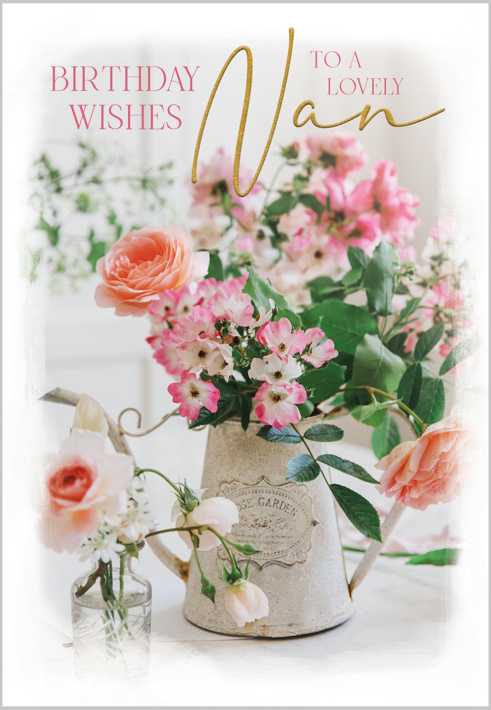 Nan Garden Roses