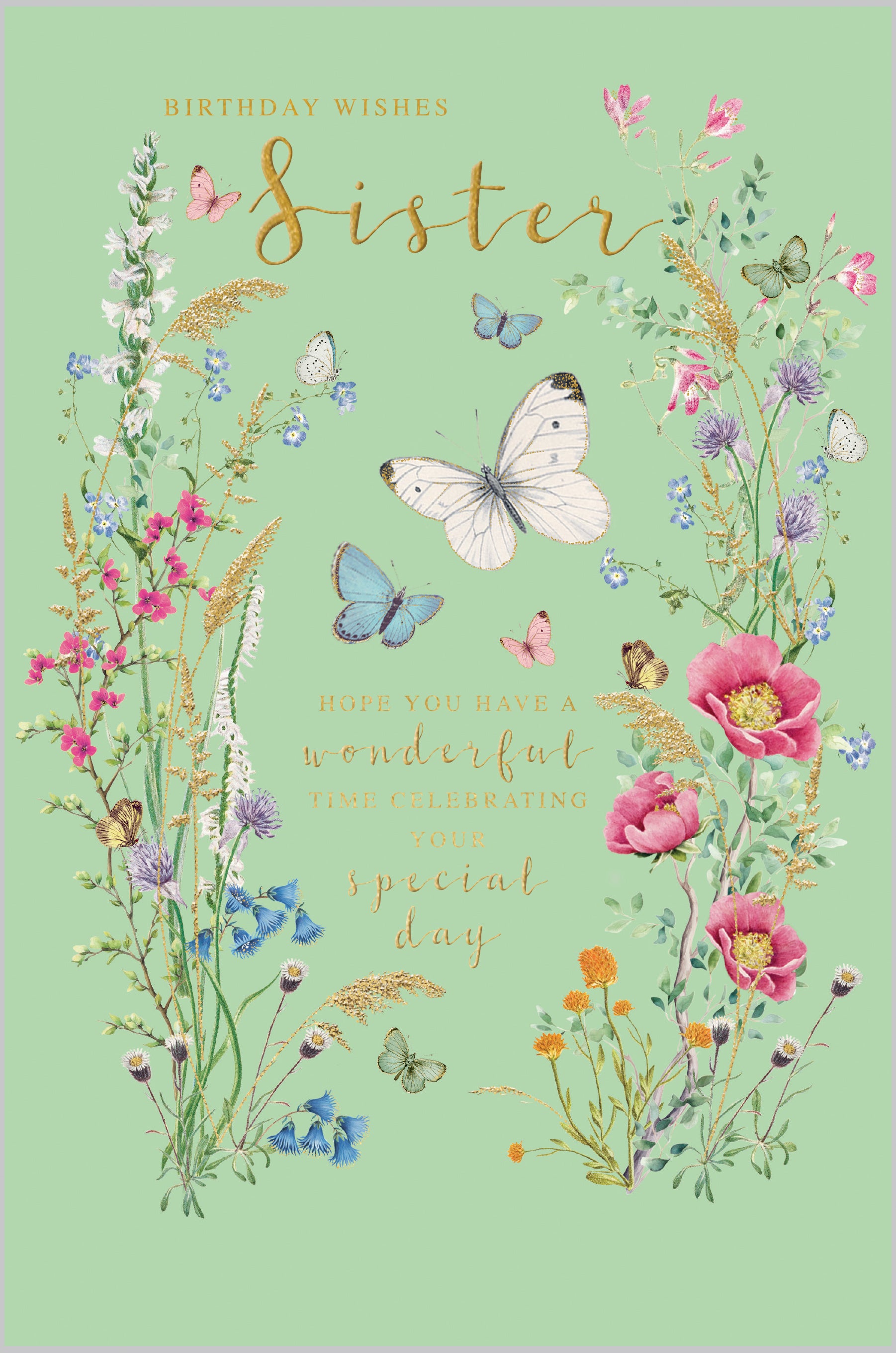 Sister Butterflies and Meadow Flowers