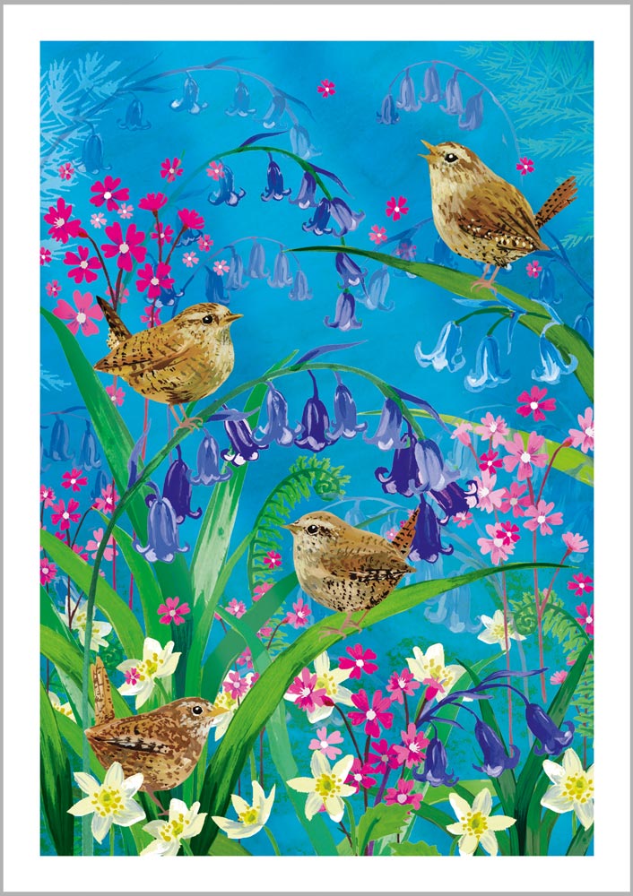 Bluebell Wrens