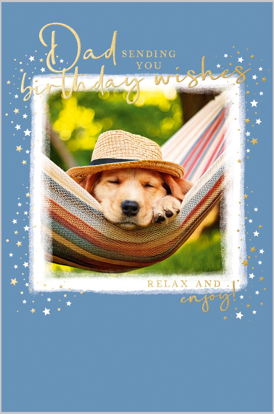 Dad Dog asleep in Hammock