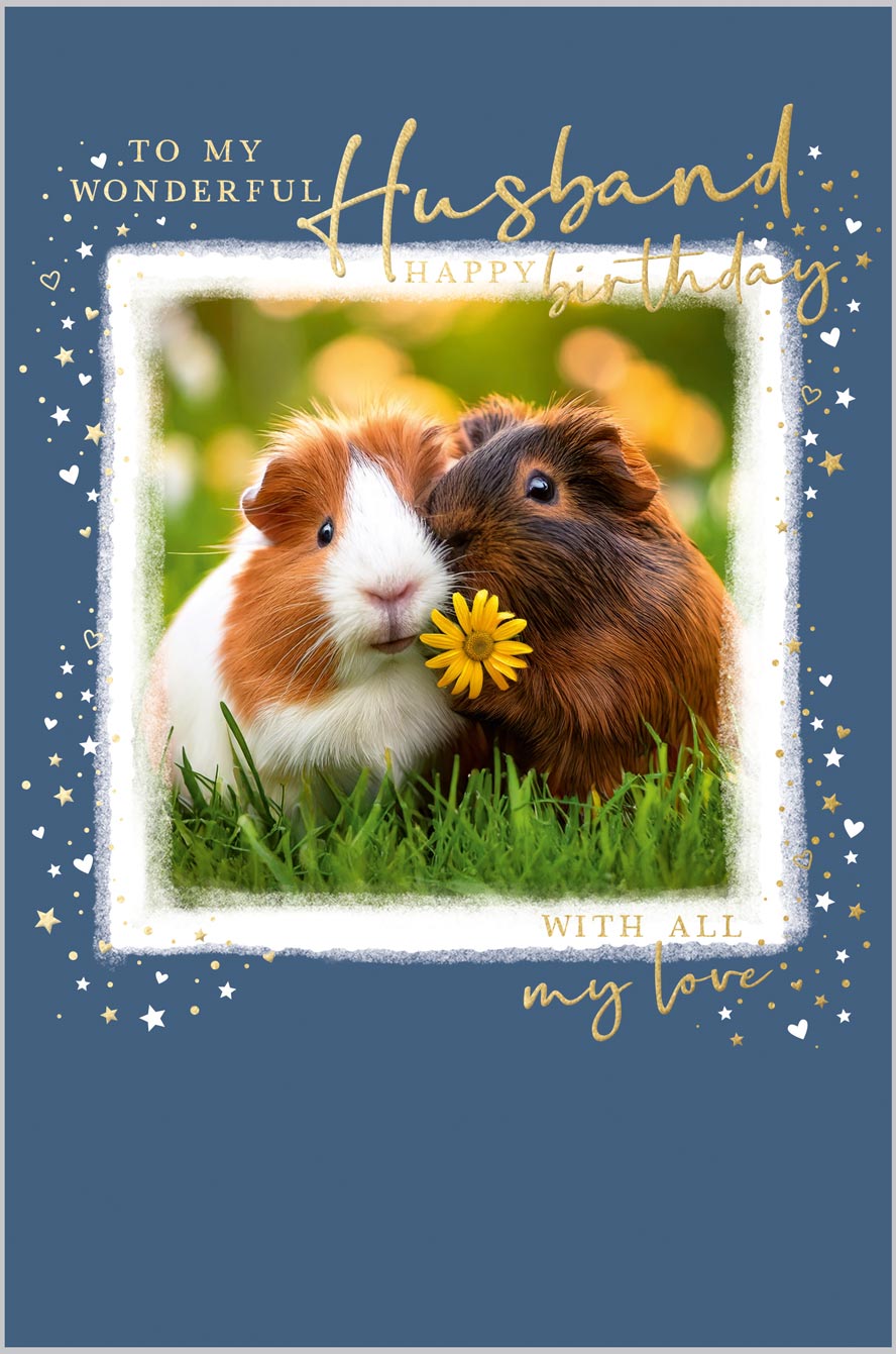 Husband Guinea Pig Couple