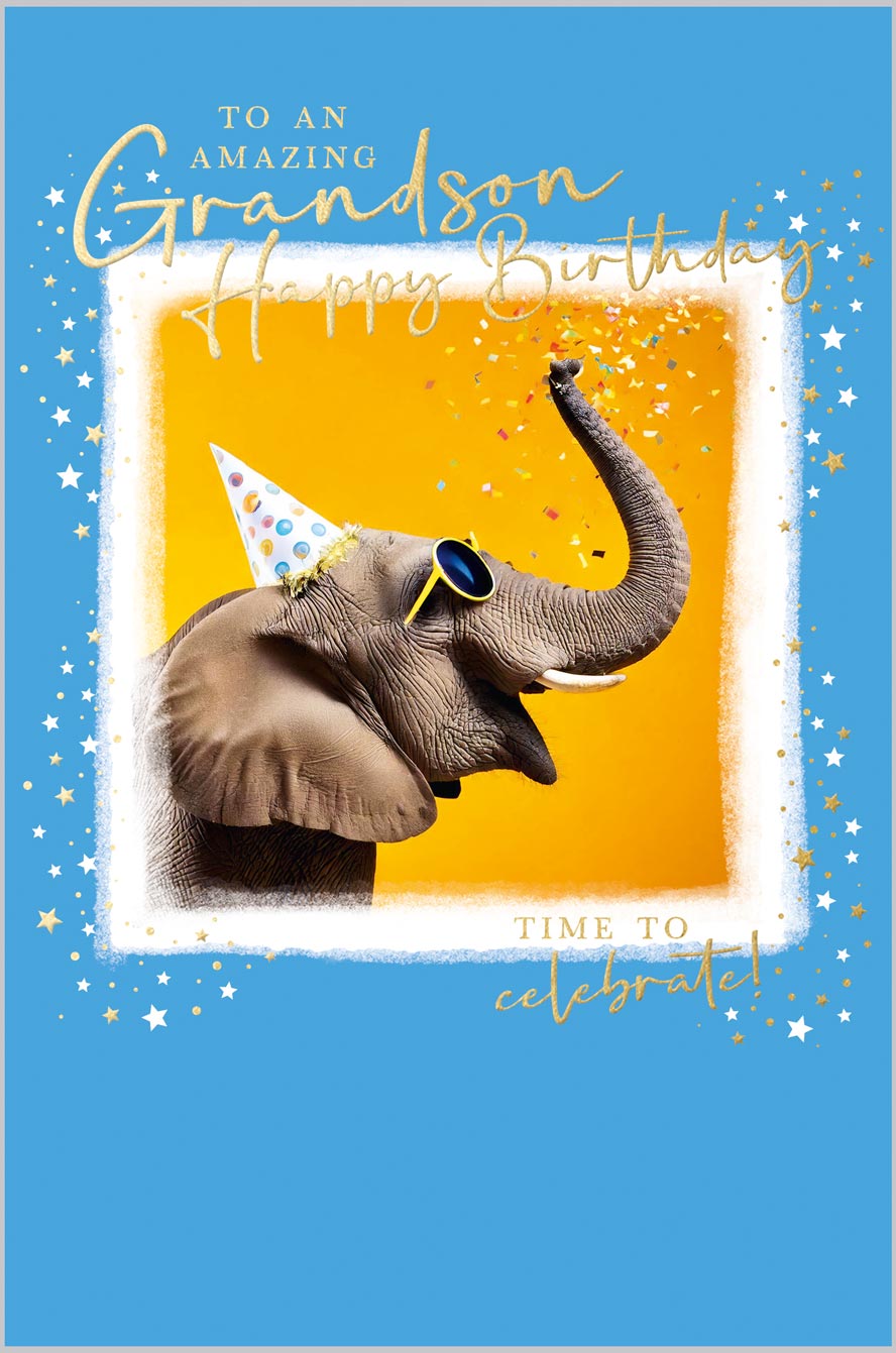Grandson Party Elephant