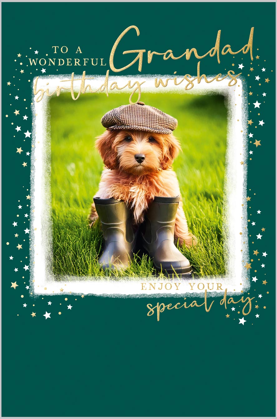 Grandad Flat Cap Pup