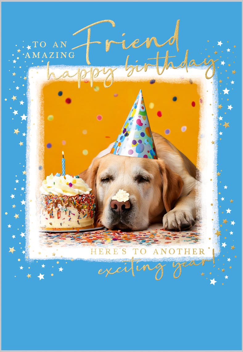 Friend Another Exciting Year