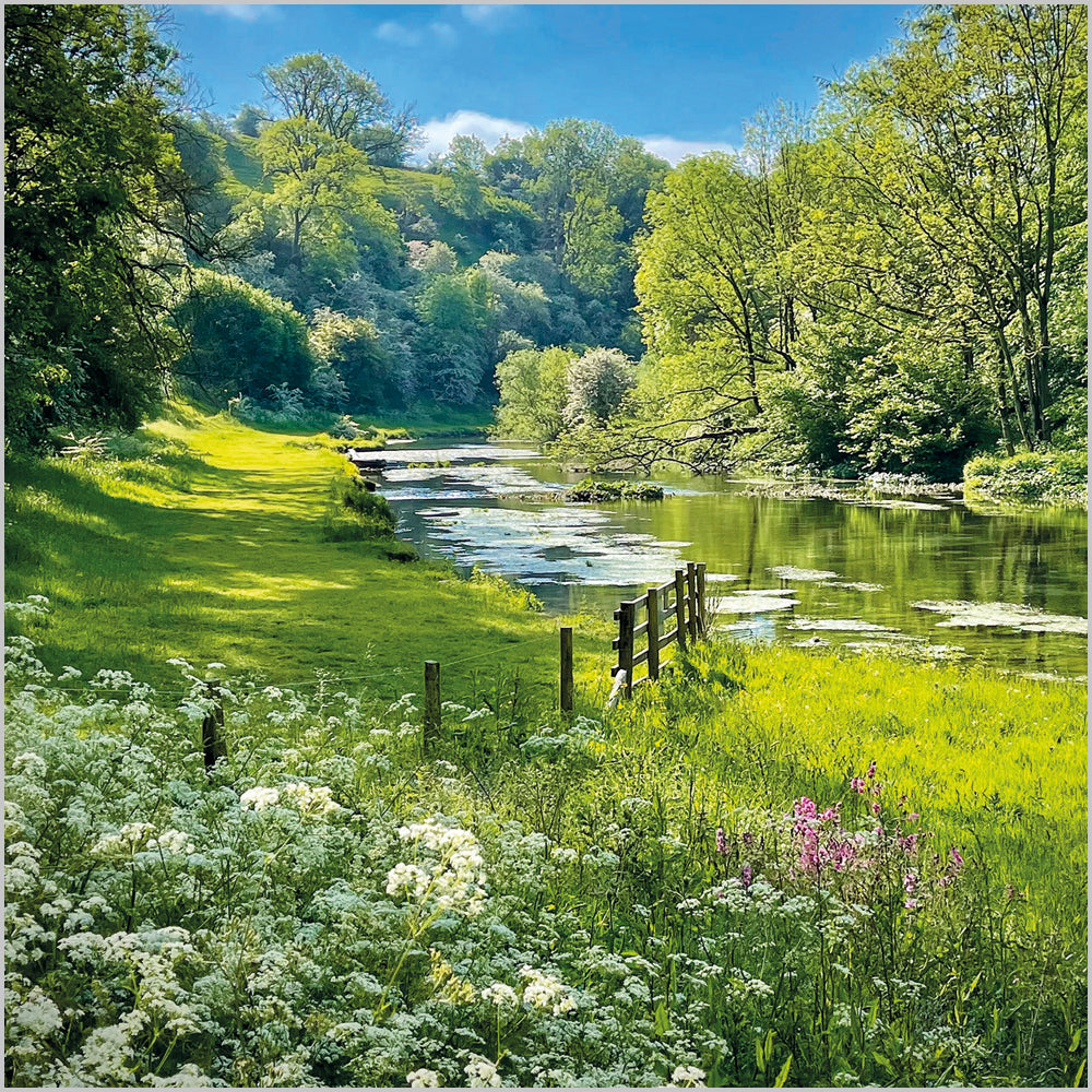 River Lathkill; Lathkill Dale; The Peak Distr