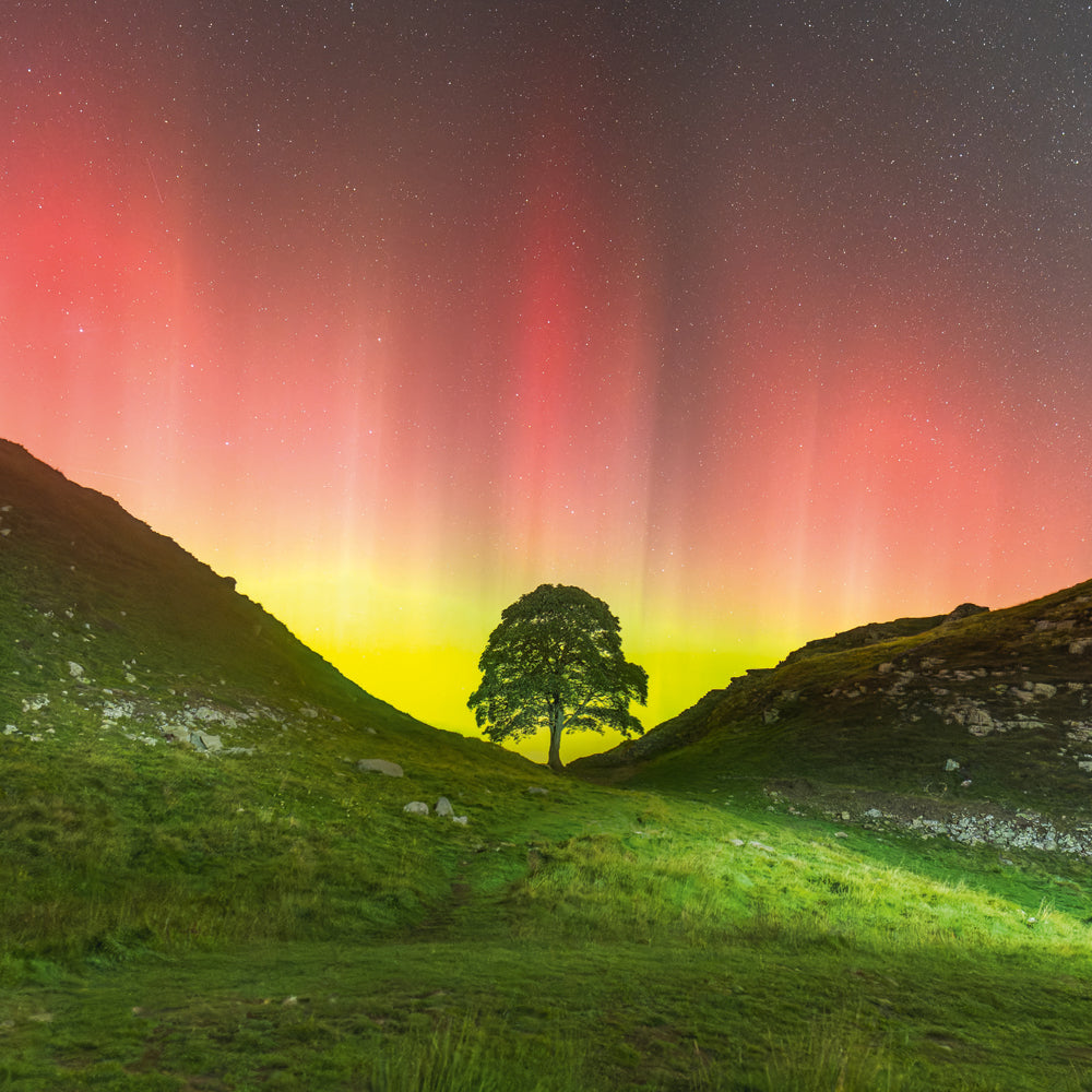 Sycamore Gap Near Crag Lough