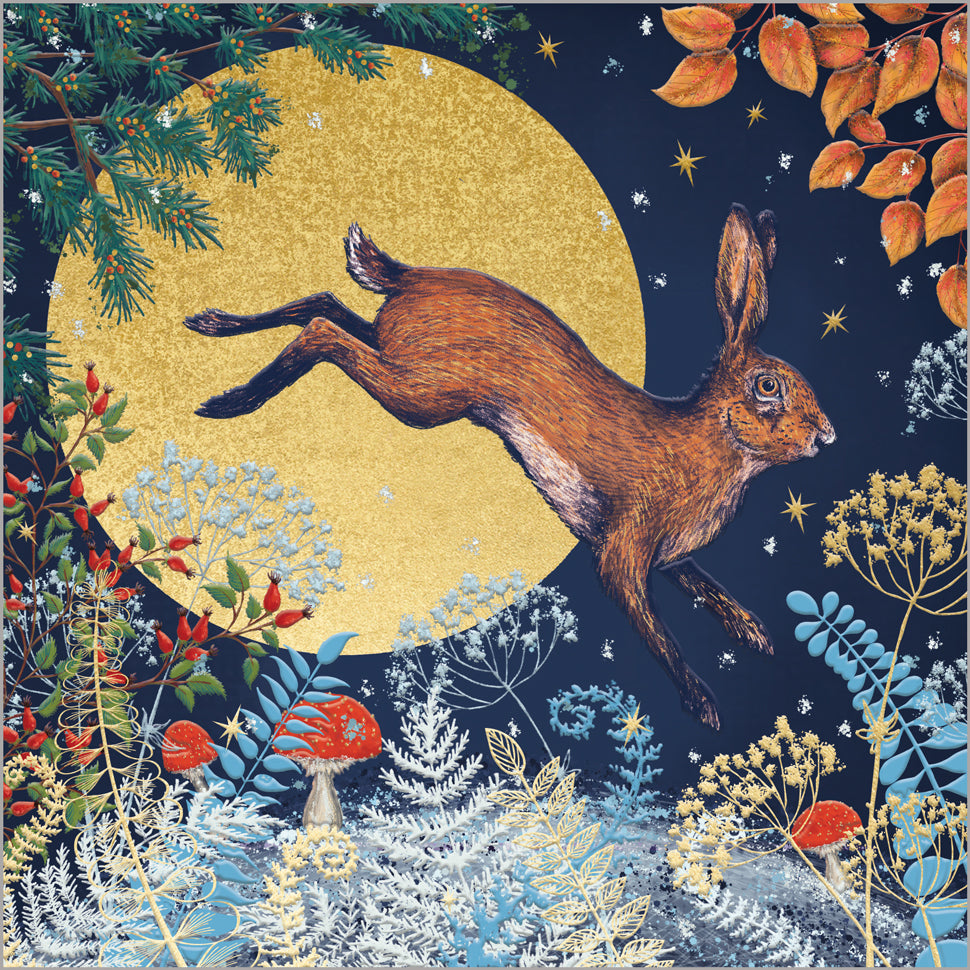 Hare & Moon