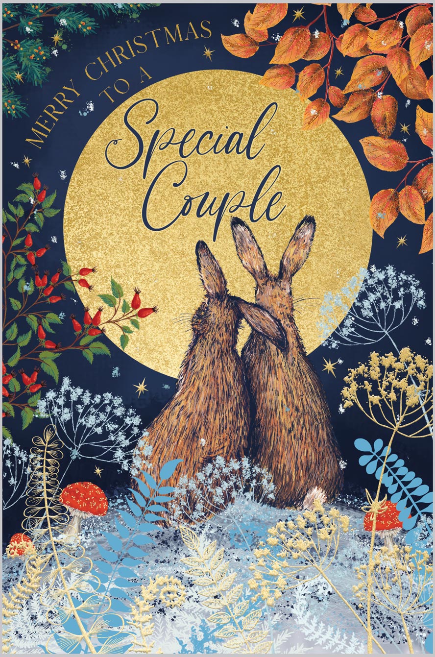 Special Couple Hare and Moon