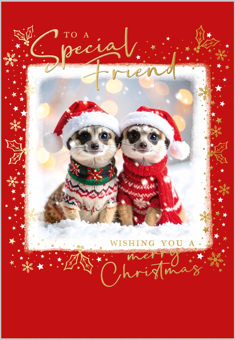 Friend Meerkats