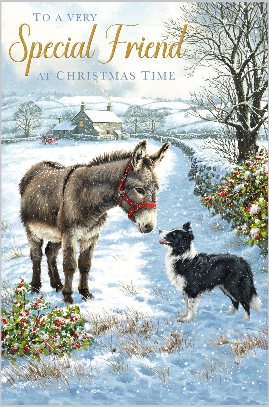 Friend Donkey and Sheep Dog