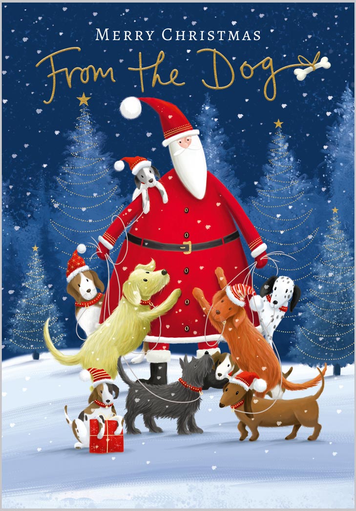 From the Dog Santa and Dogs
