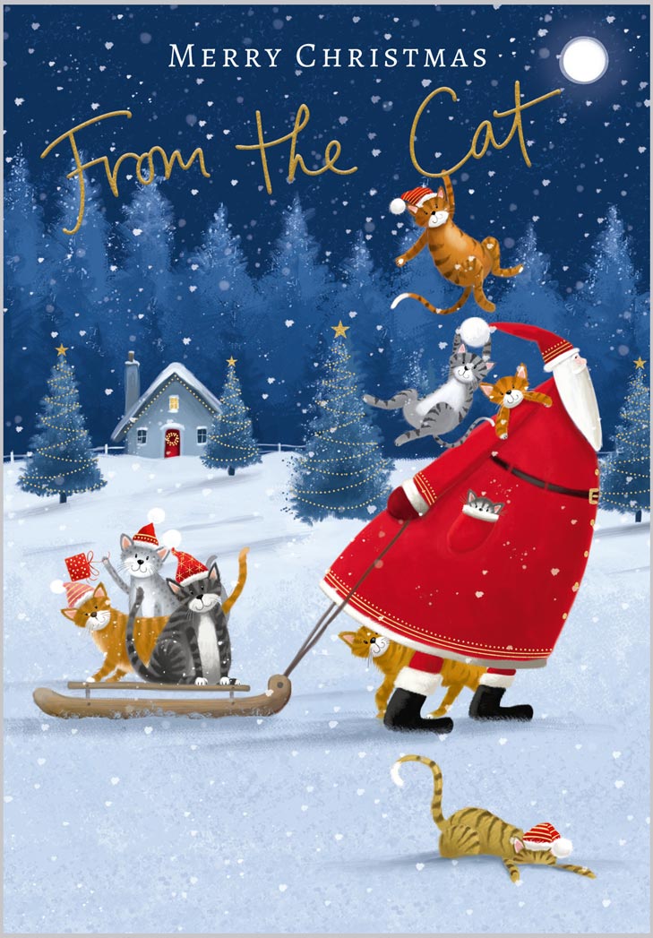 From the Cat Santa and Cats