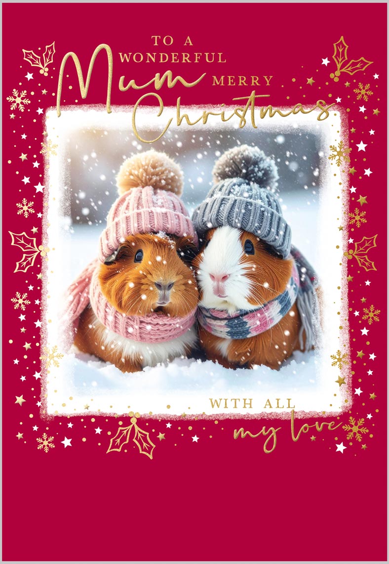 Mum Guinea Pigs in Woolly Hats
